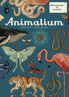 Animalium (San Vincenzo De' Paoli)