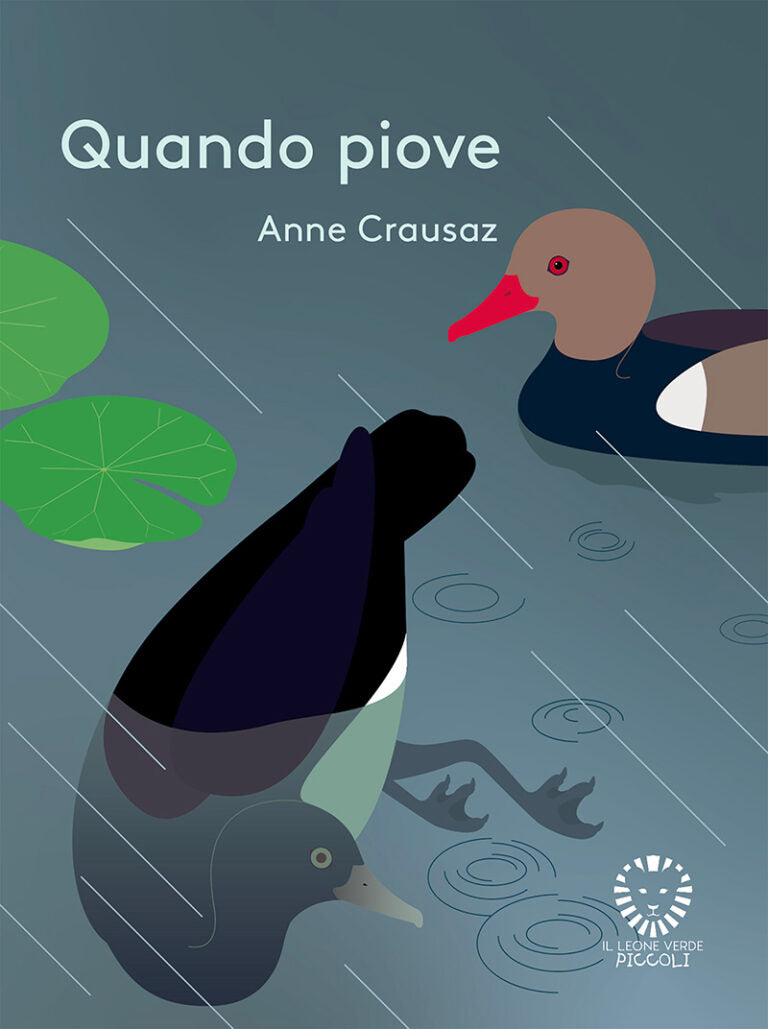quando piove (Nido Podenzano - Magicabula)